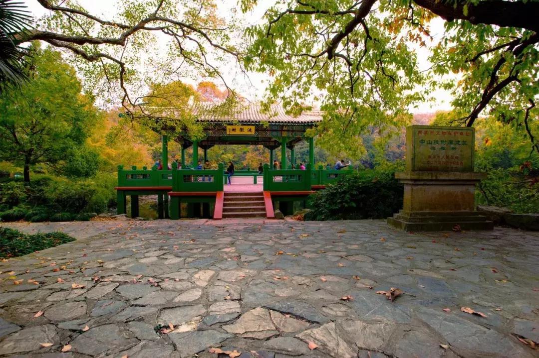 灵谷寺萤火虫7月,灵谷寺萤火虫目前还有吗