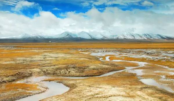 不负美景不负卿,不负美景不负卿经典语录