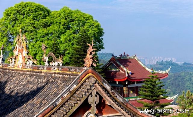 彭山新农村试点村名单,国家级十大乡村旅游示范点