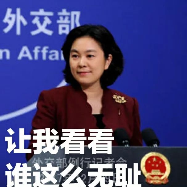 华春莹：一个你永远惹不起的女人
