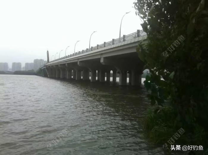 「乡渔汇文」我儿时死里逃生的经历及钓鱼剪影