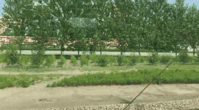 中国人在朝鲜做什么生意最好,中国人在朝鲜做什么生意