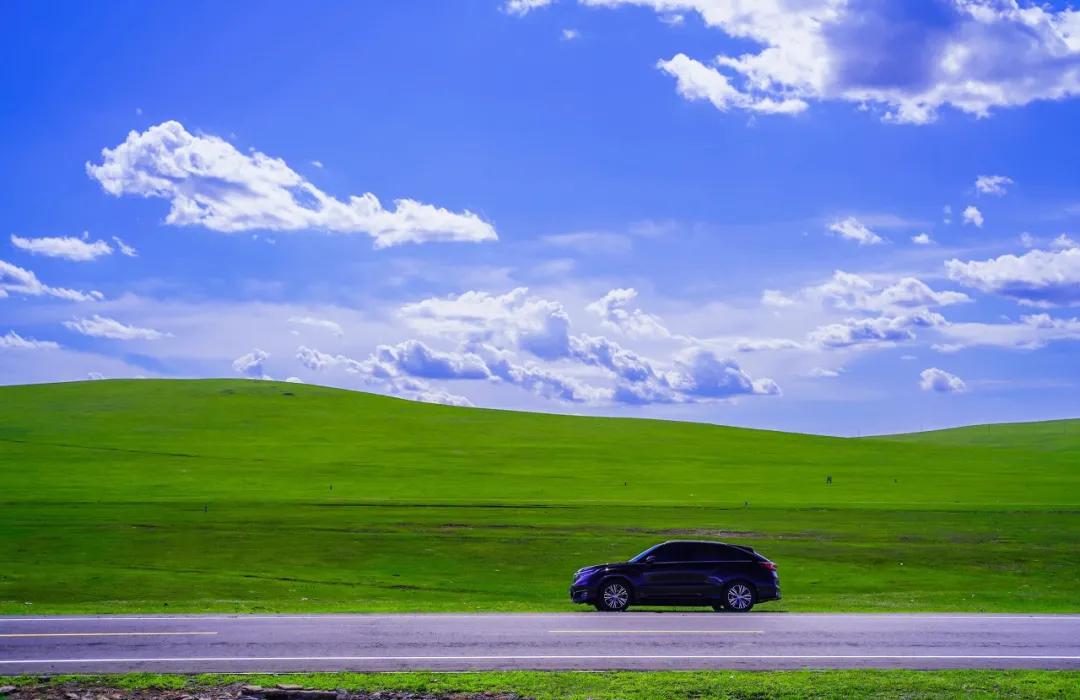 八月的呼伦贝尔大草原,辽阔的呼伦贝尔大草原风景
