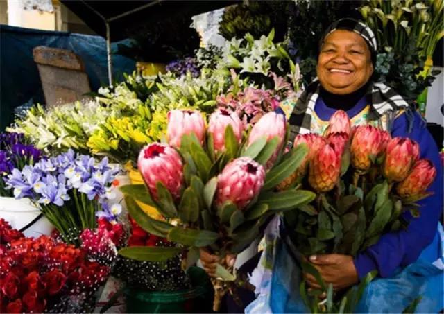 亚洲最大花市宛如仙境,中国最牛的花市