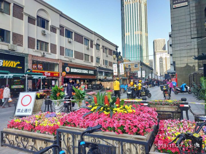 天津小白楼杂忆(三)作者:苏华