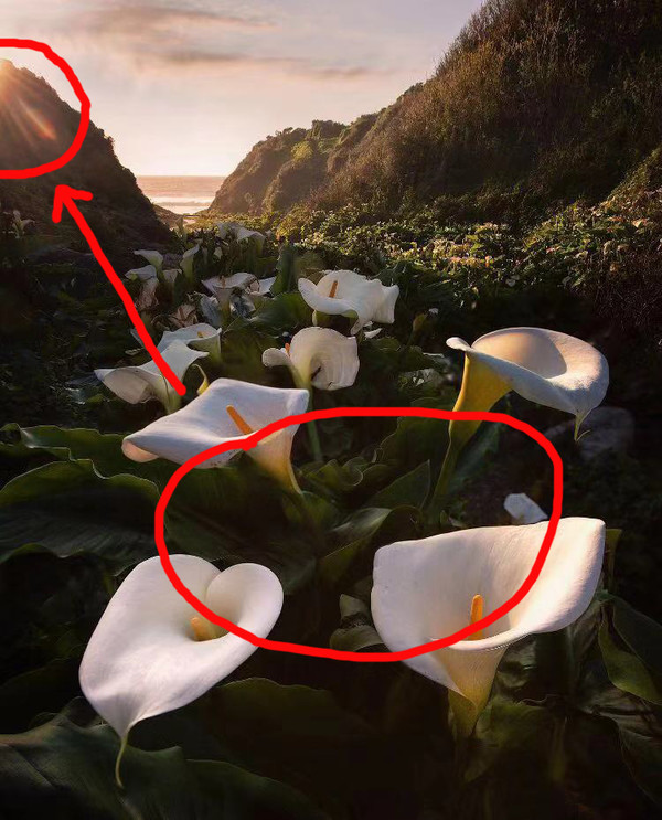 秘籍----移日*法大**