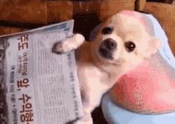 十大不建议去的宠物医院,宠物医院看病坑吗