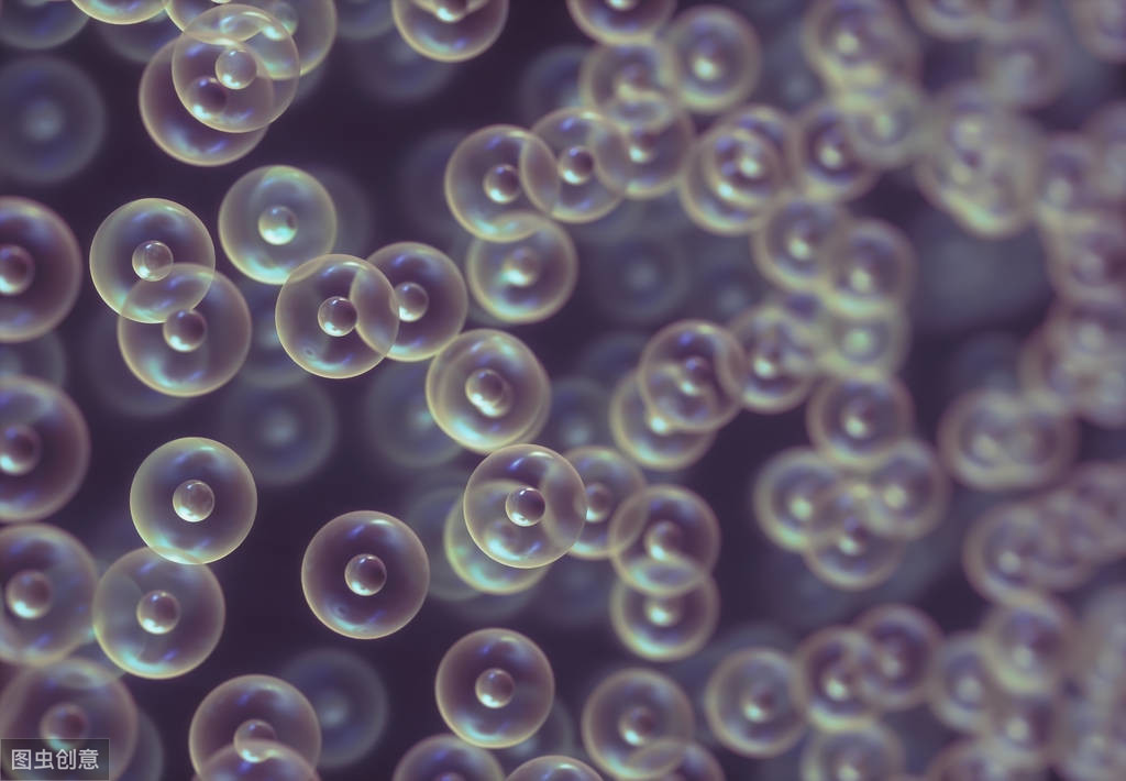 高考生物易错易混,高考生物易错易混知识点汇总