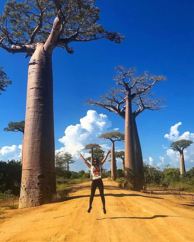 什么是非洲？这12处惊艳之地告诉你