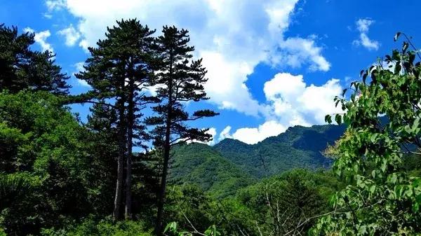 北京延庆周边野游有山有水,北京延庆山顶草甸