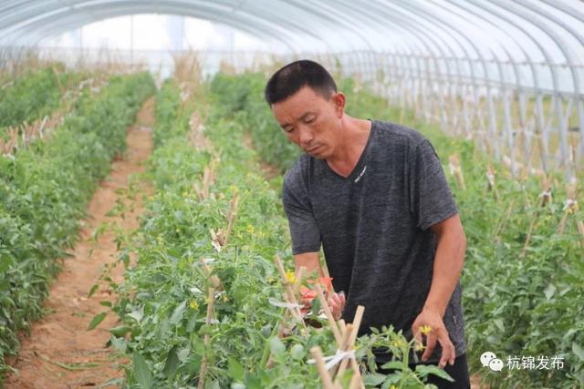 閯傚皵澶氭柉鍔犲ぇ鍐滄潙鐢靛晢鎵舵寔,閯傚皵澶氭柉鐢靛晢鎵惰传