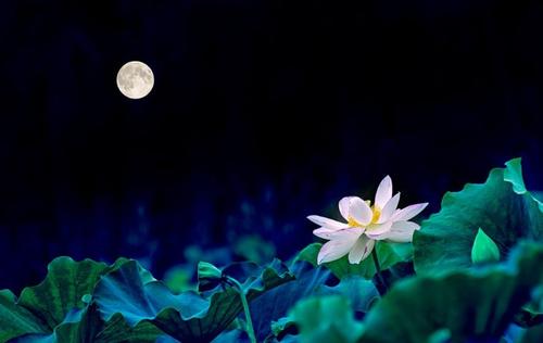 故事：邢东原创故事2：《荷仙》（发表于《民间故事选刊》2020年3月上）