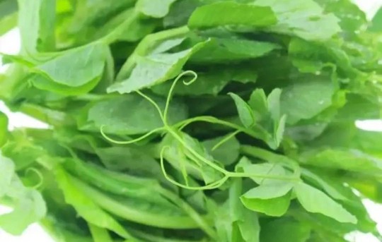 生老病死是正常的自然法则,生老病死是不可抗拒的自然规律