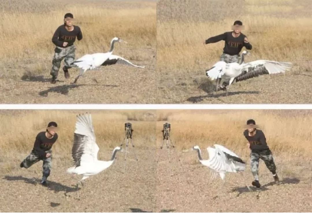 每个生命都值得被虐待,任何生命都不该被虐待