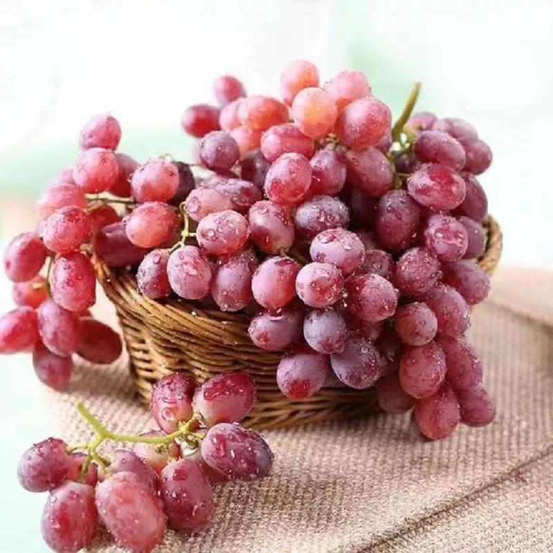 拼多多有哪些糊弄人的伎俩,拼多多的套路为什么那么深