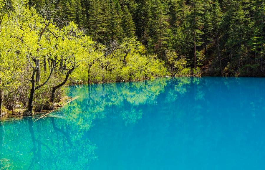 九寨沟旅行自由行攻略最新版,旅游九寨沟自由行攻略图解