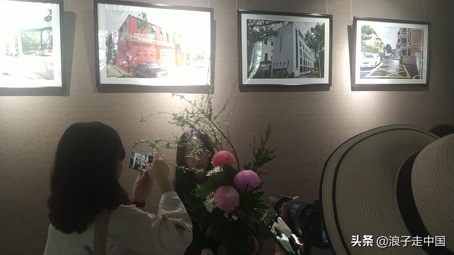 深圳的东湖公园的菊花展漂亮极了,深圳东湖公园赏菊花展