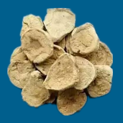 附子的种类图片大全,附子有多少种品种图片