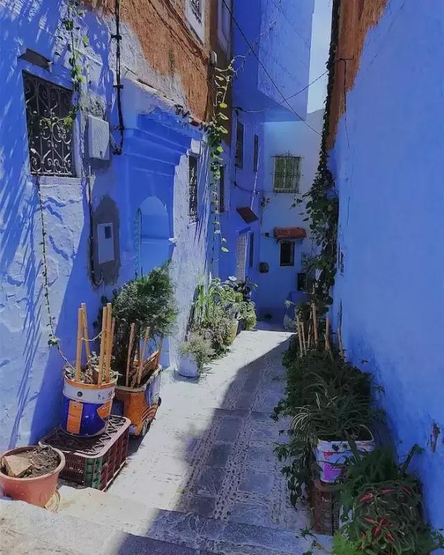 免签进一步扩大开放,免签后游客暴涨