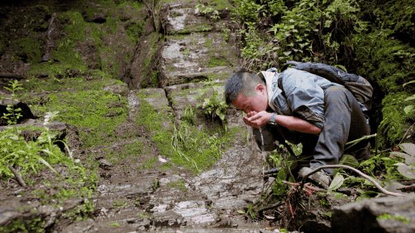 吃毒菇、睡蛇窝,只为挖一堆草,这个重庆博士要做当代神农