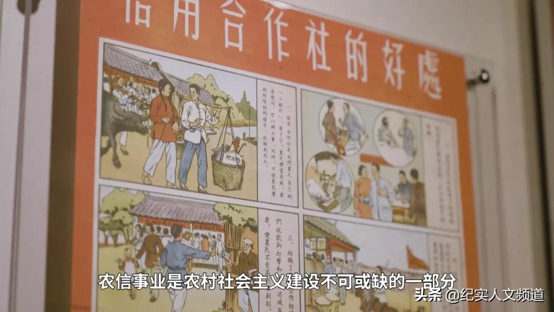 “我们的发展始终伴随着泥土的芬芳”纪录片《惠泽桑田》回顾上海农信事业发展历程