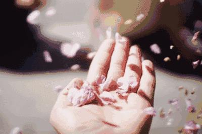 比特仑苏还纯的分享:那些治愈了生活,让幸福感爆棚的好物