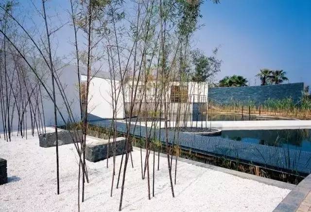 中国人的院子,中国人的院子深度解析