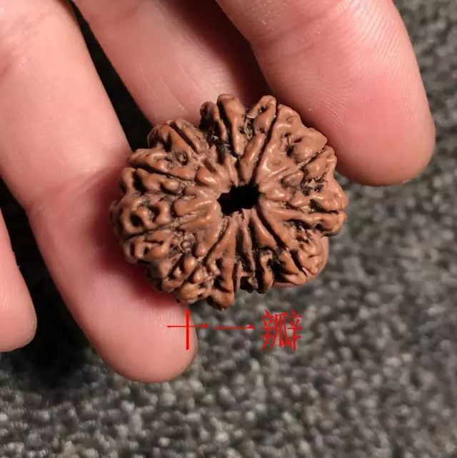 金刚菩提尼泊尔印尼区别,尼泊尔小金刚菩提子怎样快速变红