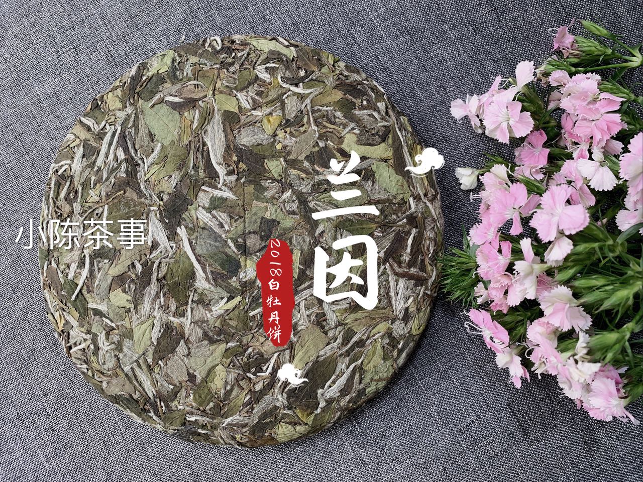 三分钟解读新白茶和老白茶的区别,白茶老白茶怎么选