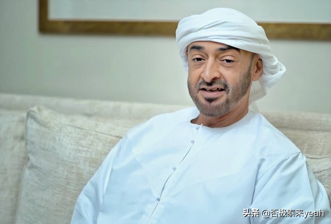 阿联酋最高统治者,阿联酋最高统治者国王