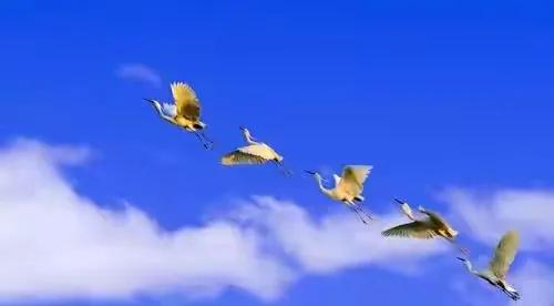 诗圣杜甫最经典的十首诗,杜甫40首诗每首是经典