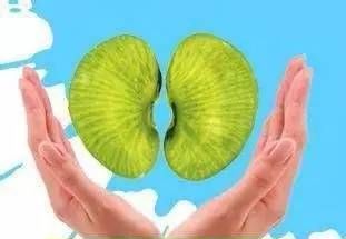 肾穿刺活检术活检结果,肾穿刺活检后注意事项