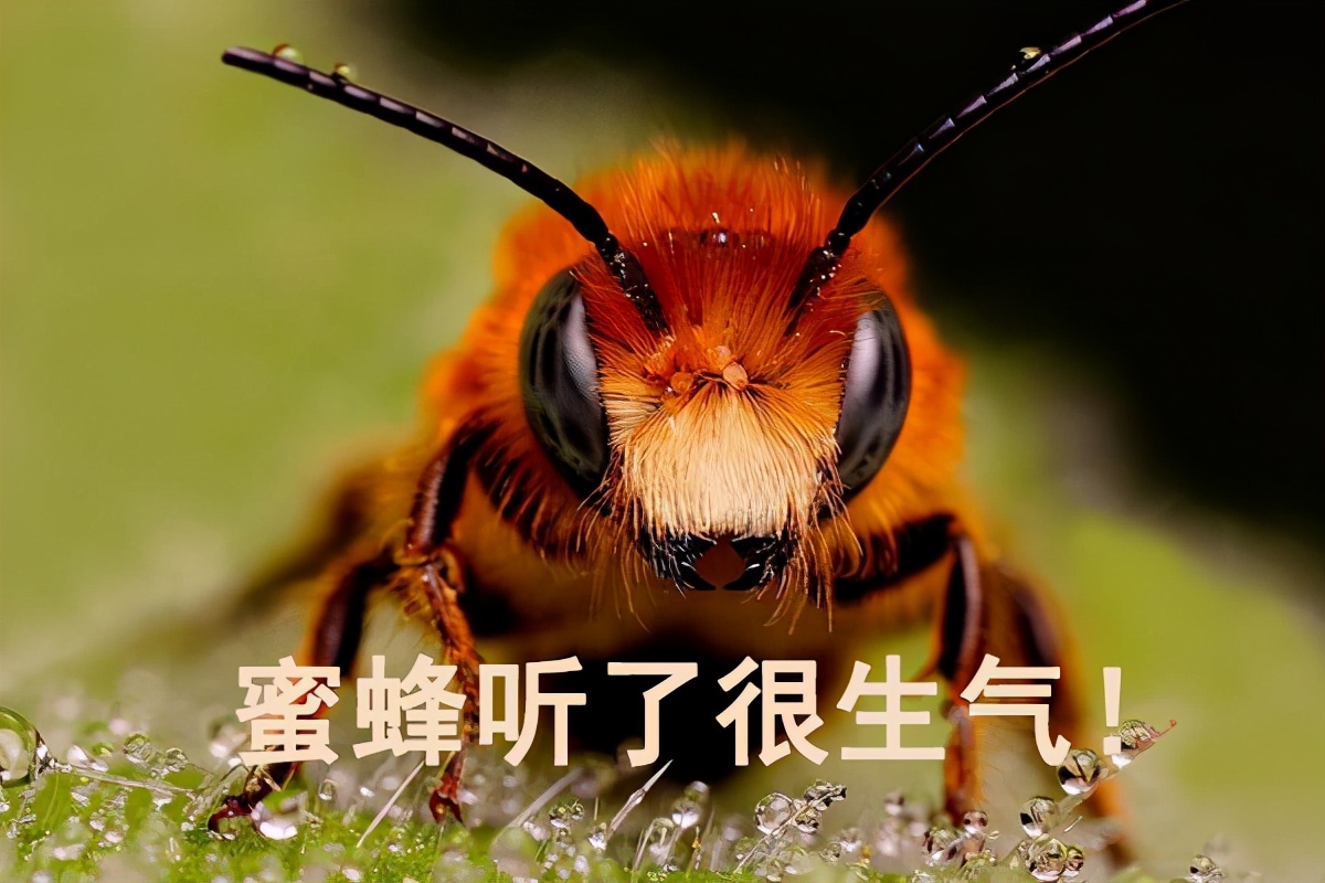 性早熟食物黑名单又增加了？最可能引起性早熟的原因看这篇