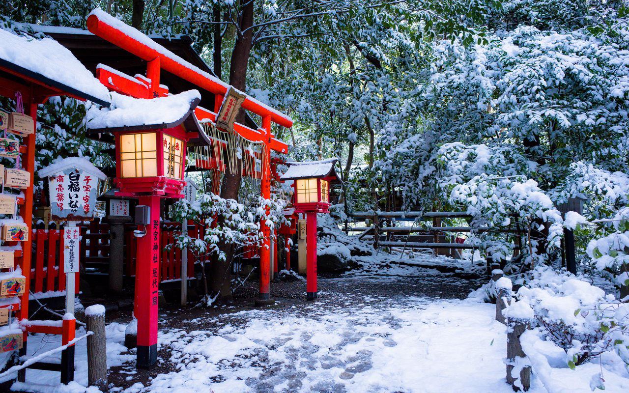 双十一惊喜不断,日本签证简化办理是真的吗