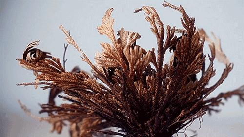 过冬补水最好的面膜,秋冬面膜推荐排行榜前十名