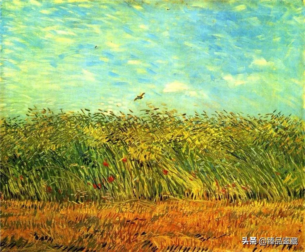 梵高在薄情的世界深情的活着,梵高是一个孤独的疯子