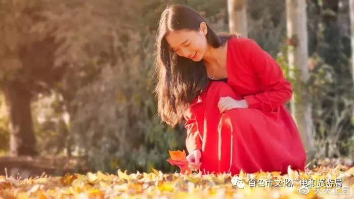 广西枫叶林观赏季节,广西赏枫叶的地方