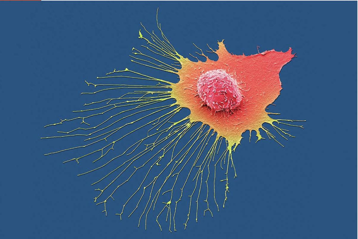 关于纹身的7个冷门小知识,关于纹身你不知道的事