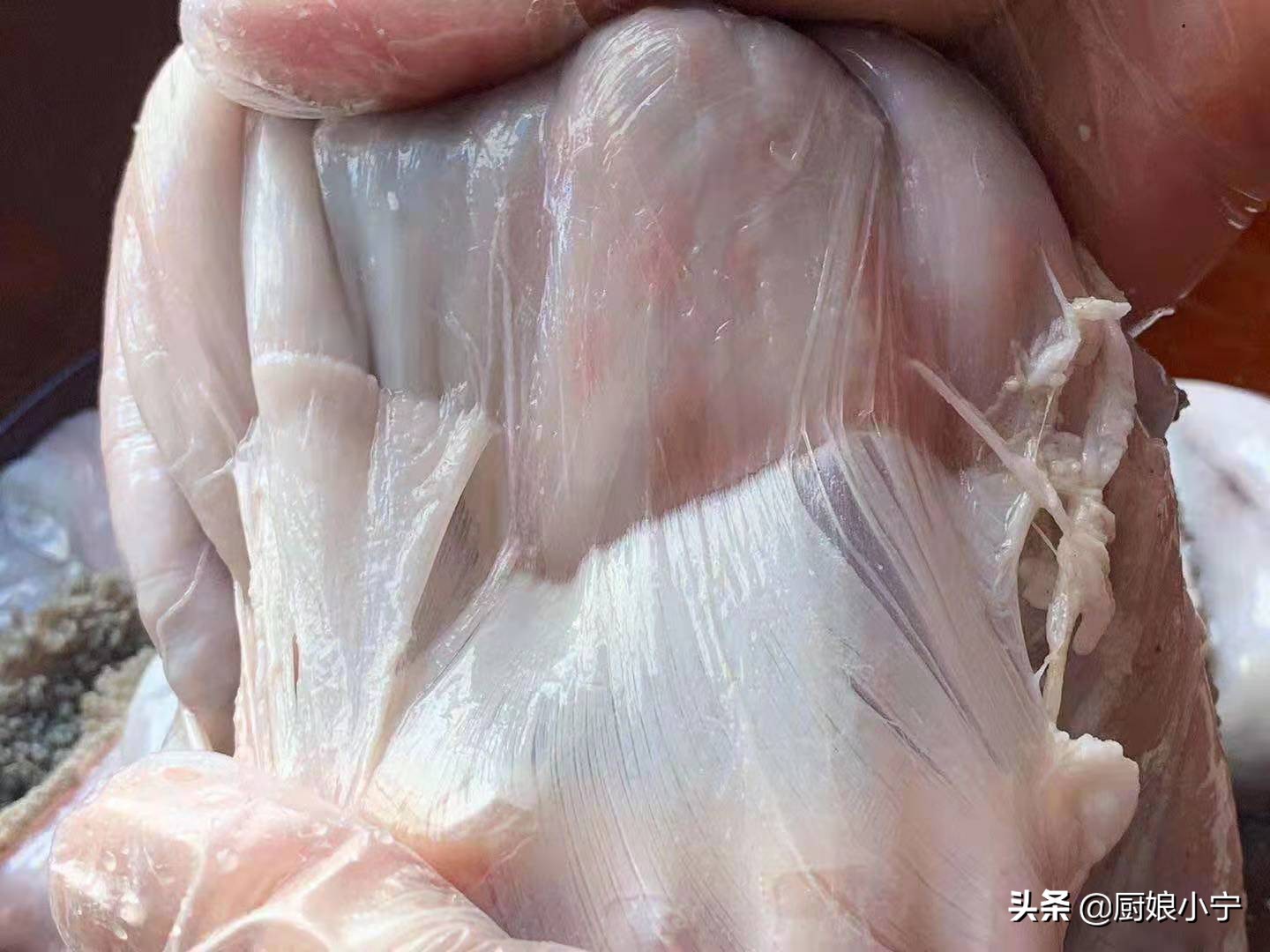 大厨做凉拌毛肚的教程,毛肚的做法怎么清洗才能涮火锅