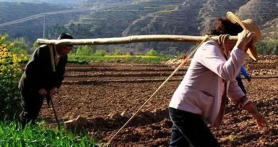 返乡创业山沟里的致富路,关于乡村返乡创业的思考