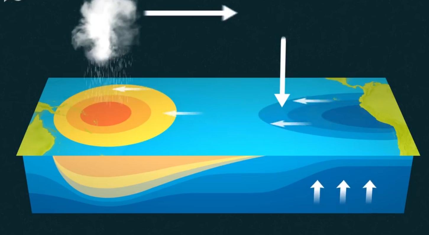 上万条鱼随暴雨从天而降,暴雨过后上万条活鱼从天而降