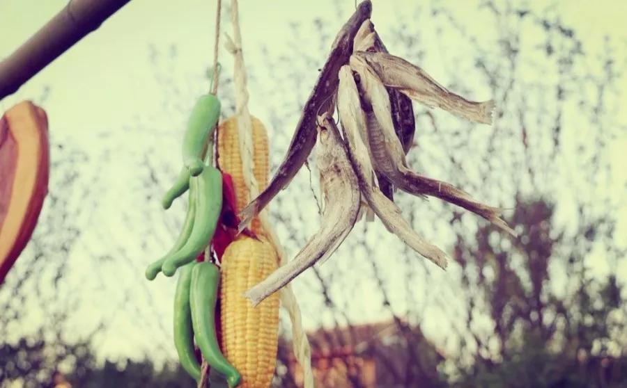 浙江冬天哪里风景最美,浙江冬天风景图片