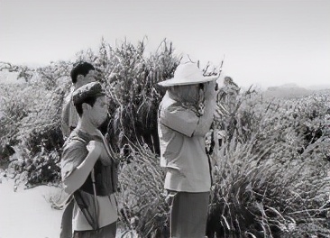 我从师主任岗位,调任军分区,脱口道:我已第五次平调