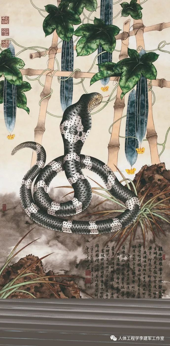 人体工程学生肖周运势:2020年6月14日—6月20日