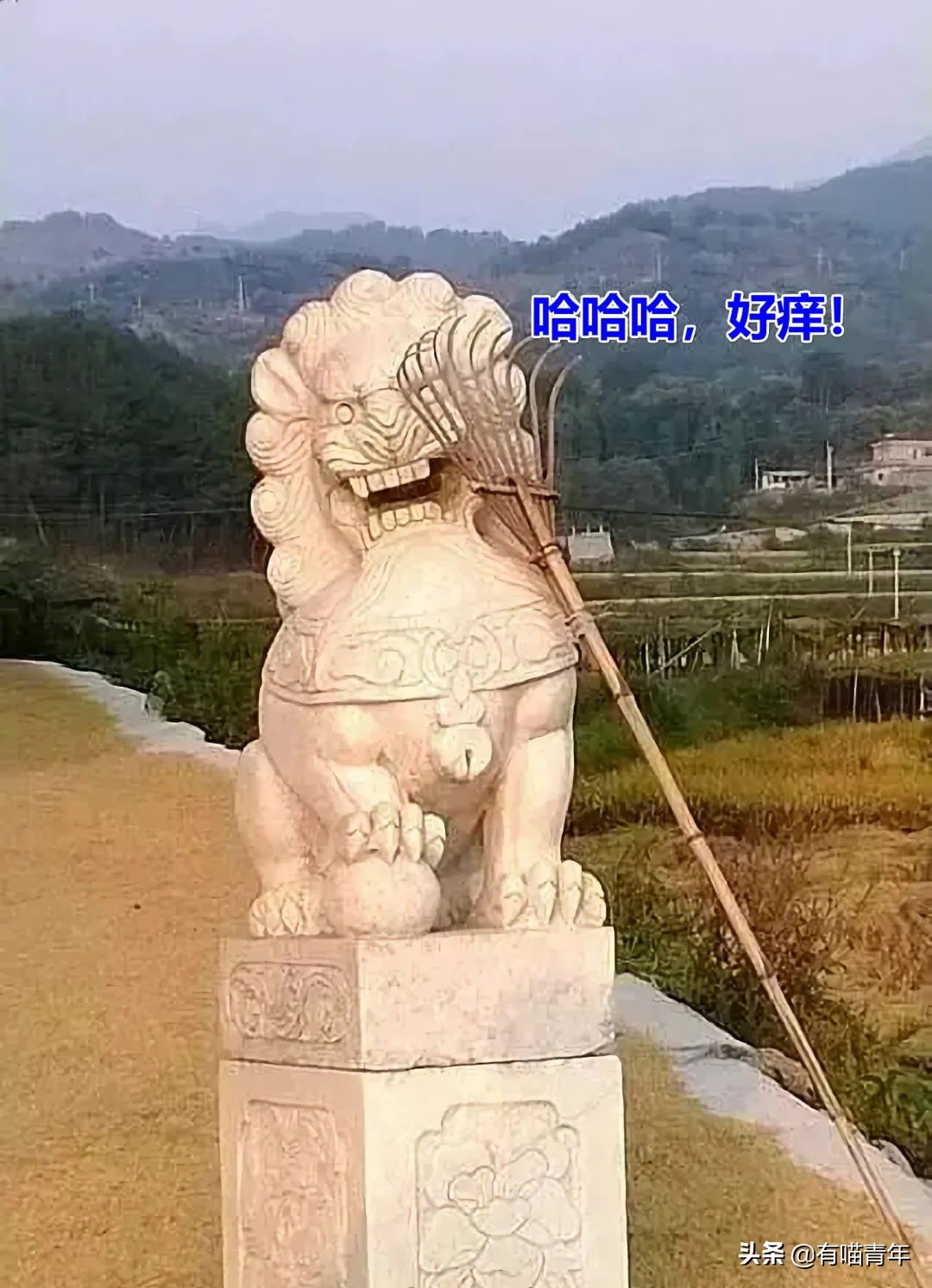 北大石狮子绝育事件,北大石狮子修复了吗