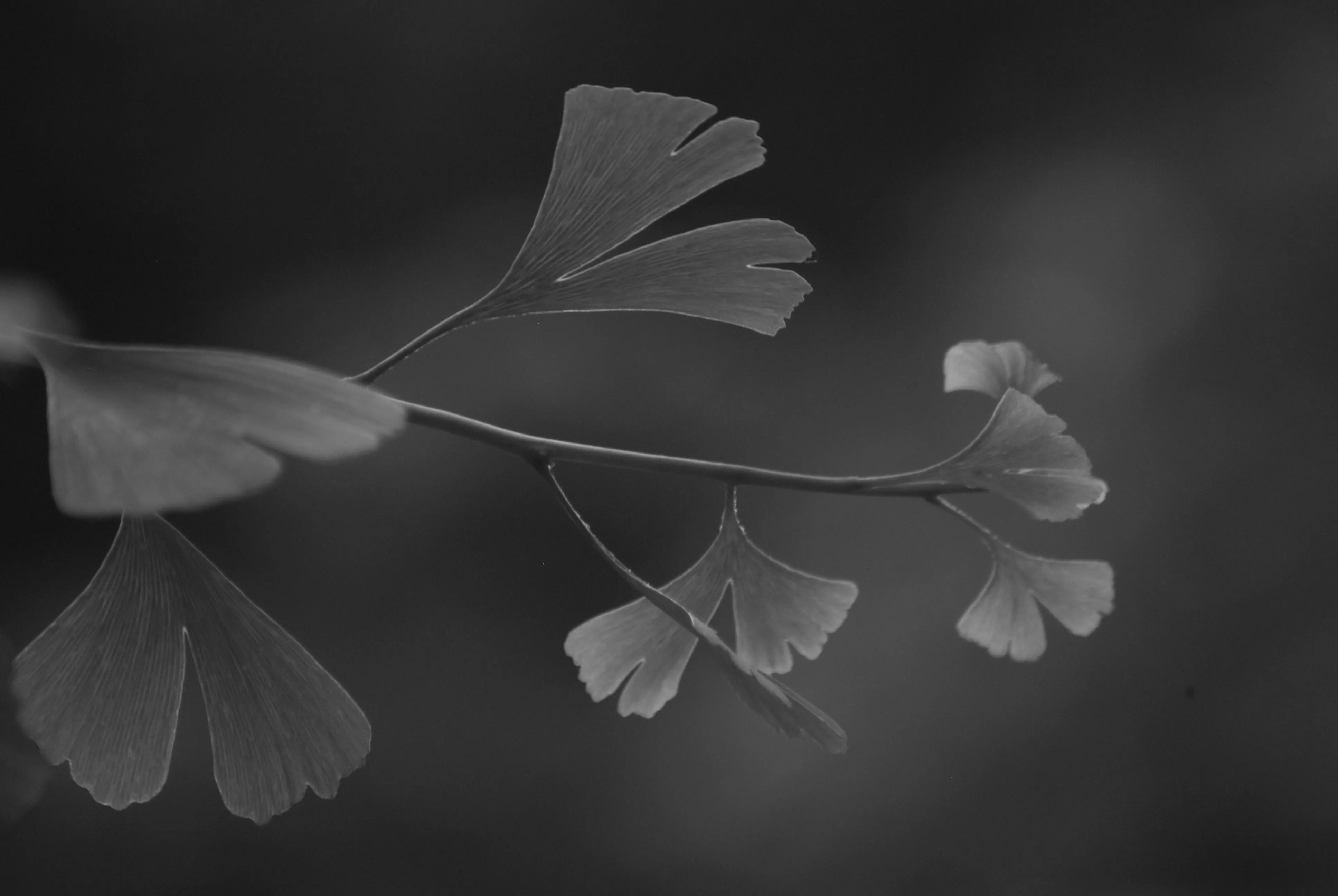 1000多的二手单反值得买吗,1000元左右二手单反全画幅