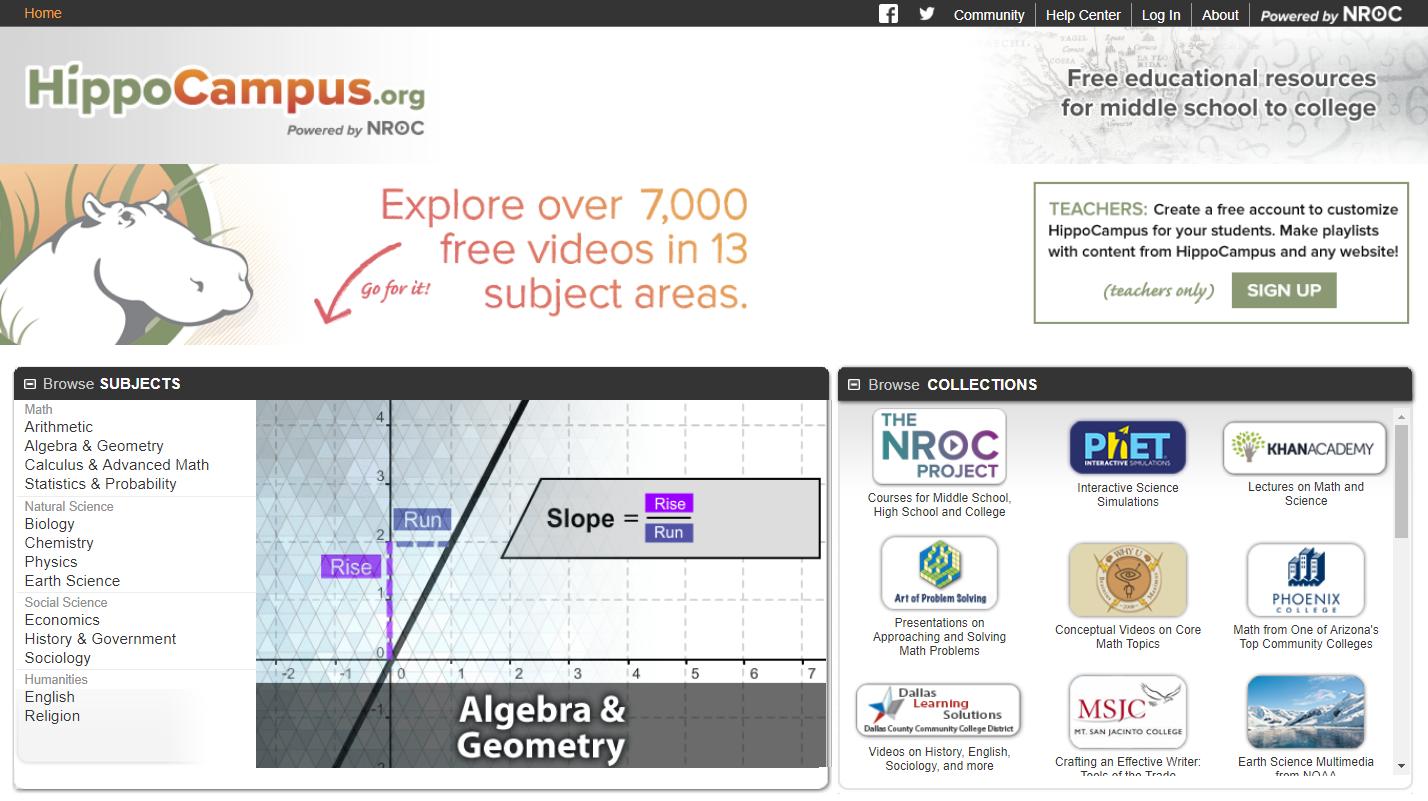 英语课程线上教学成人外教,地道的美国外教课堂教学