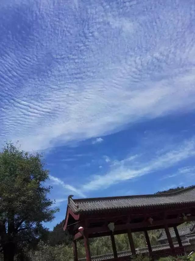 不要嫁给两个儿子的家庭,未来结婚应该嫁给什么样的男人