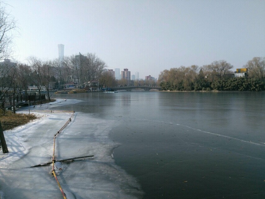 畸形的爱,畸形的爱情电影