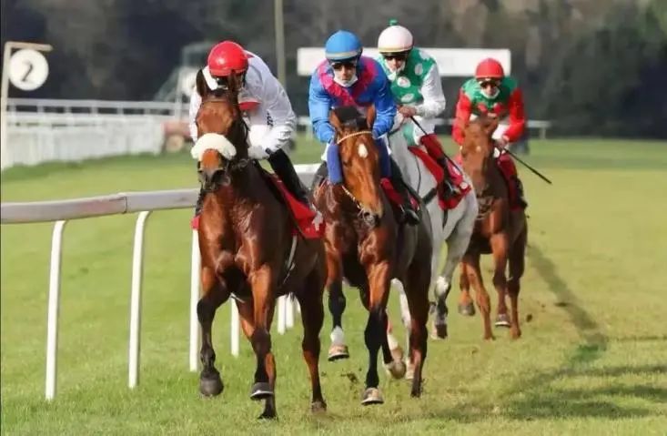 茅台醇酒,茅台故事与茅台力量